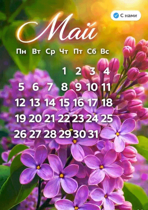 Первый слайд
