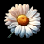 https://vmfile.com/upload/863/1510363383.gif